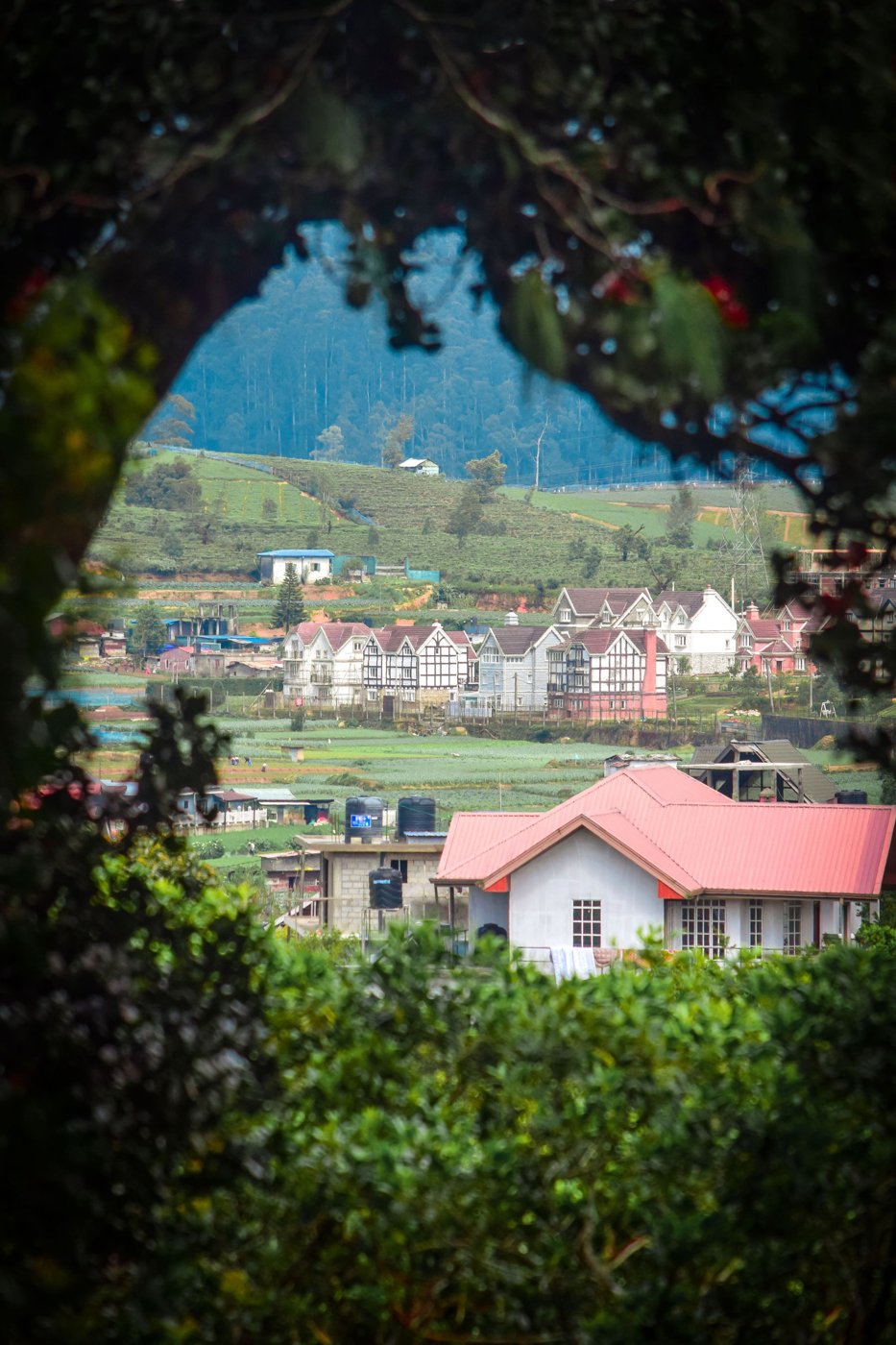 Nuwara Eliya town